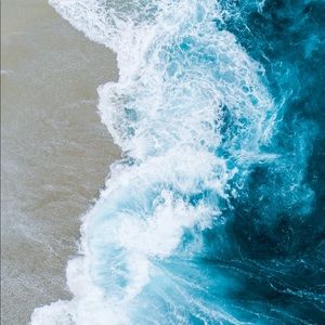 Meet your Posher, Harley